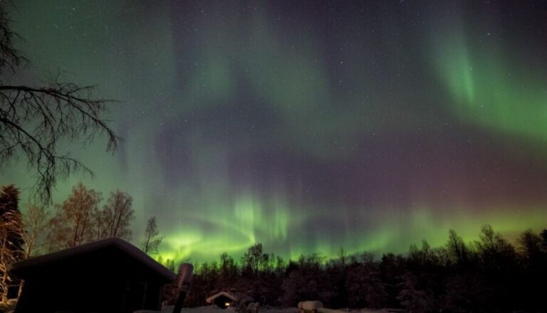 Rovaniemi: Apukka Reindeer Sleigh Ride at Night - The 3-Hour Flow: What Happens From Pickup to Forest Back-Again