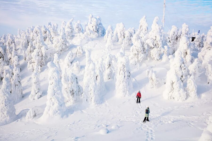 Rovaniemi: Arctic Animals Sleigh Rides and Wildlife Zoo - What you’ll pack and how to stay comfortable