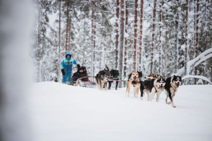 Rovaniemi: Arctic Circle Highlights by Snowmobile - From pickup to the farm: the warm-up phase that sets the tone