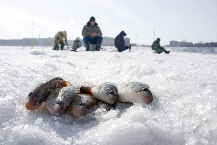 Rovaniemi: Arctic Circle Ice Fishing Experience - Gear and Winter Overalls: What You Get and How to Dress