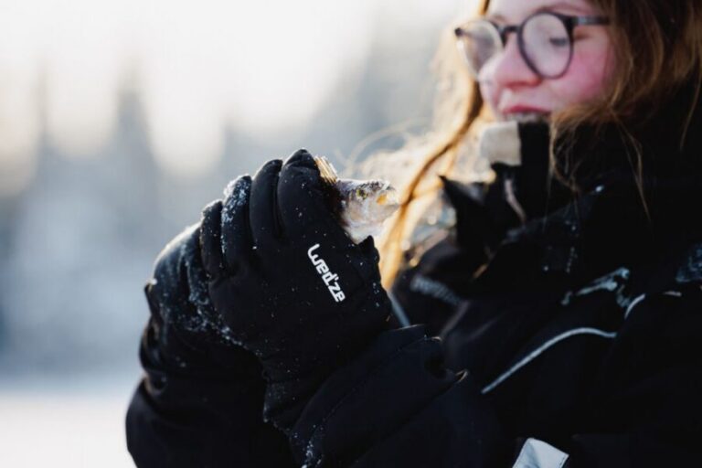 Rovaniemi: Arctic Circle Ice Fishing Experience - The 4-Hour Rhythm: What Happens From Start to Finish
