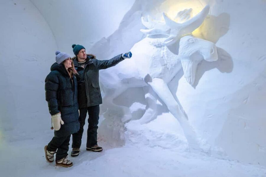 Rovaniemi: Arctic Snow Hotel Tour - Kick Sledding and Tobogganing Hill: The Bonus That Changes the Mood