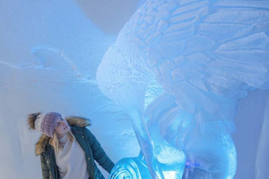 Rovaniemi: Arctic Snow Hotel Tour and Snow Sauna Experience - Price and Value: Is $207 Worth It?