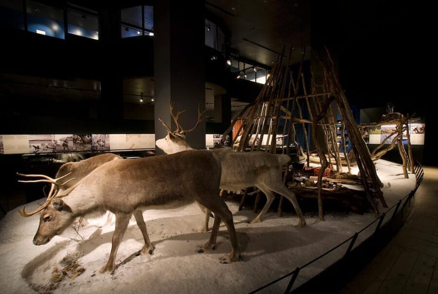 Rovaniemi: Arktikum Science Centre and Museum Entry Ticket - Arctic Seasons film: a guided sense of time in the North