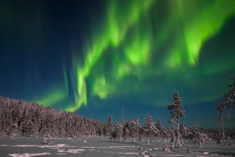 Rovaniemi: Aurora Borealis and Picnic - Guides and storytelling: the difference between waiting and experiencing