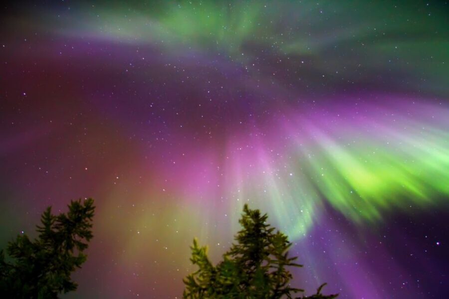 Rovaniemi: Aurora Borealis Snowmobile Safari with Campfire - Price and Value: Is $163 Per Person Worth It?