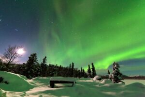 Rovaniemi: Aurora Borealis Snowmobile Safari with Campfire - Driving Setup and License Check: How the Snowmobile Part Works