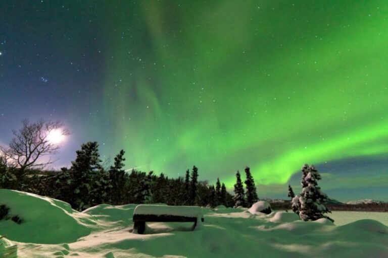 Rovaniemi: Aurora Borealis Snowmobile Safari with Campfire - Driving Setup and License Check: How the Snowmobile Part Works