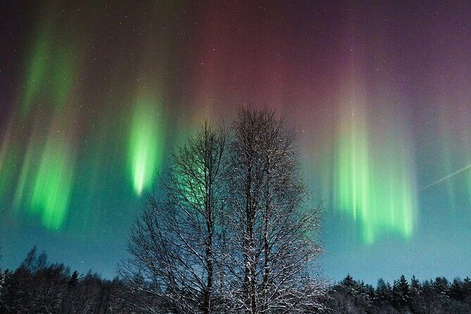 Rovaniemi: Aurora Hunt with Photograph & money back guarantee - Key takeaways before you book