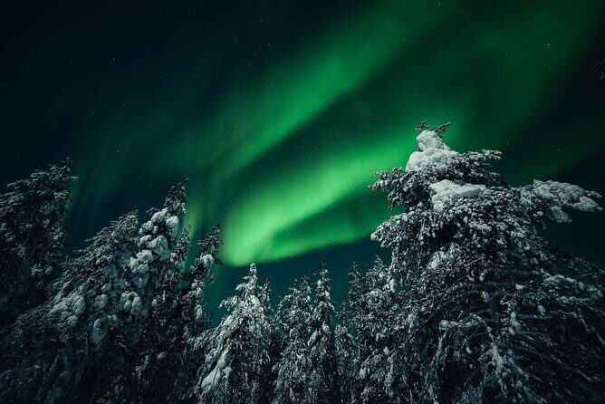 Rovaniemi: Aurora Hunt with Photograph & money back guarantee - Price and Value: Why $167.74 Can Make Sense