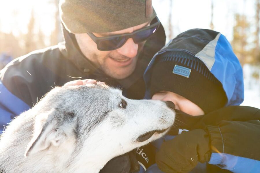 Rovaniemi: Daytime Husky Safari - Who should book this husky safari, and who might want something else