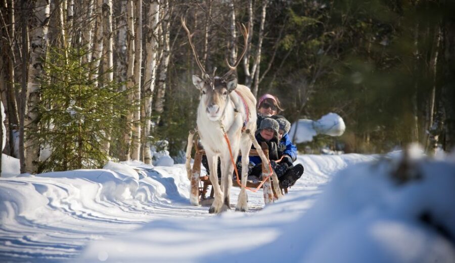 Rovaniemi: Daytime Reindeer Sleigh Ride - What to Wear So the Cold Doesn’t Run the Show