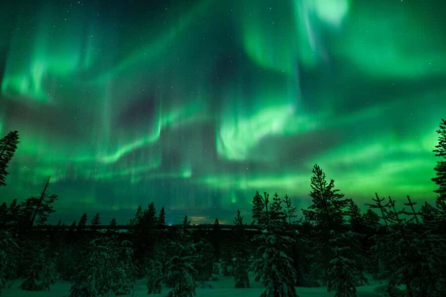 Rovaniemi: Discover the Northern Lights Photography Tour - How to judge the odds: what happens on cloudy or snowy nights