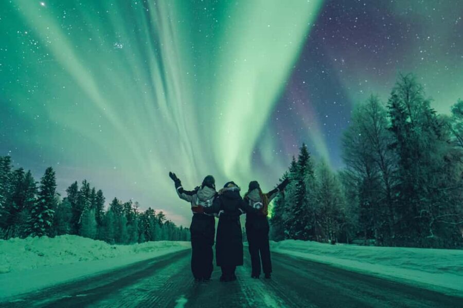 Rovaniemi: Discover the Northern Lights Photography Tour - Forecasting is the real start time (planning runs all day)