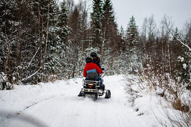 Rovaniemi: Drive New 2025 Snowmobiles on Arctic Safari & BBQ - Key things to know before you go