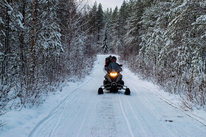 Rovaniemi: Drive New 2025 Snowmobiles on Arctic Safari & BBQ - Private Property Snowmobiling + BBQ: What This Tour Feels Like