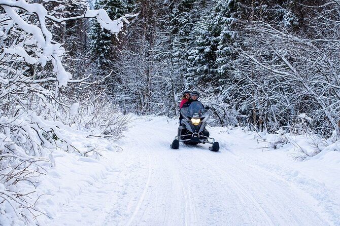 Rovaniemi: Drive New 2025 Snowmobiles on Arctic Safari & BBQ - Group Size and Transfers: Why Your Comfort Depends on the Day