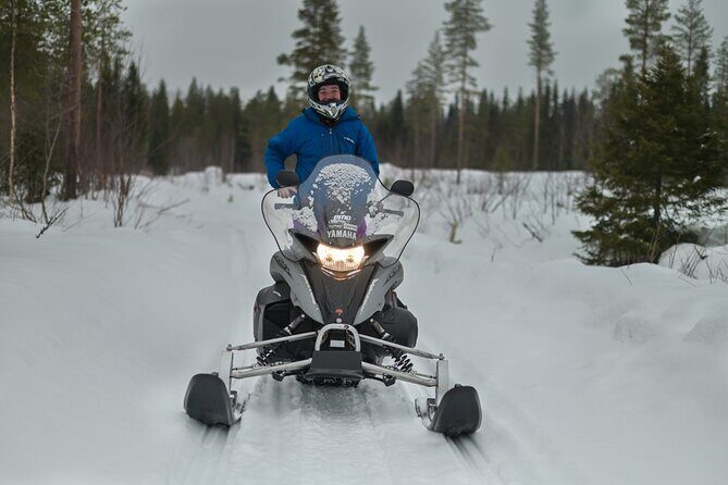Rovaniemi: Drive New 2025 Snowmobiles on Arctic Safari & BBQ - Duration and Timing: How the 4 to 5 Hours Adds Up