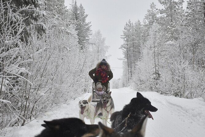 Rovaniemi: Drive Your Own Husky Team (6–10 km) & BBQ - The feel of the trail: crisp air, powder snow, and real speed control