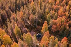Rovaniemi: Drive Your Own Husky Team (Autumn) & BBQ - The farm stop: meeting the dogs and the humans behind the scenes