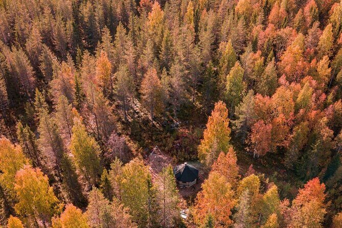 Rovaniemi: Drive Your Own Husky Team (Autumn) & BBQ - The farm stop: meeting the dogs and the humans behind the scenes