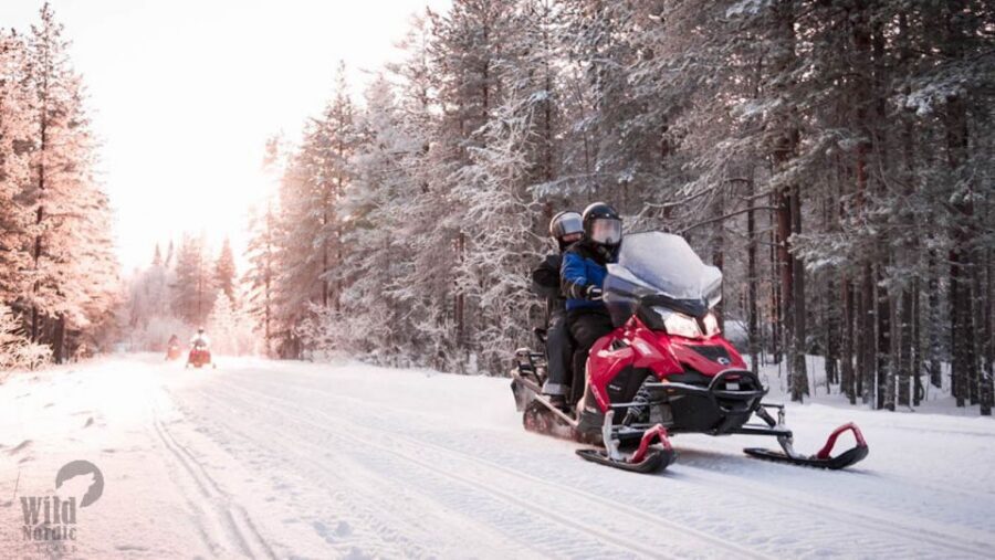 Rovaniemi: Easy Snowmobile Safari - Small-group format: why 6 snowmobiles feels better than a crowd