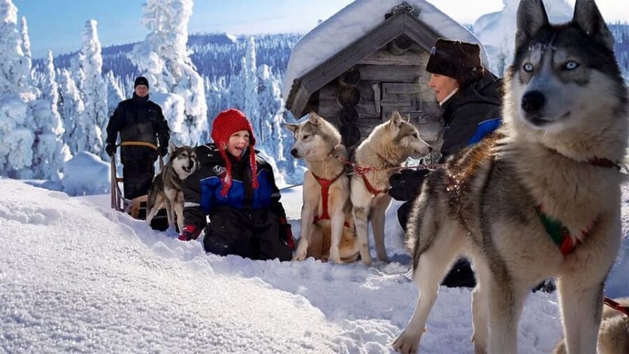 Rovaniemi: Family Friendly Husky Ride and Farm Visit - Entering Rovaniemi Husky Country: where the trip actually begins
