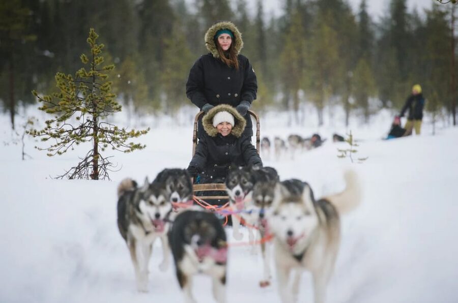 Rovaniemi: Family Friendly Husky Ride and Farm Visit - Price and value: is $128 per person fair?