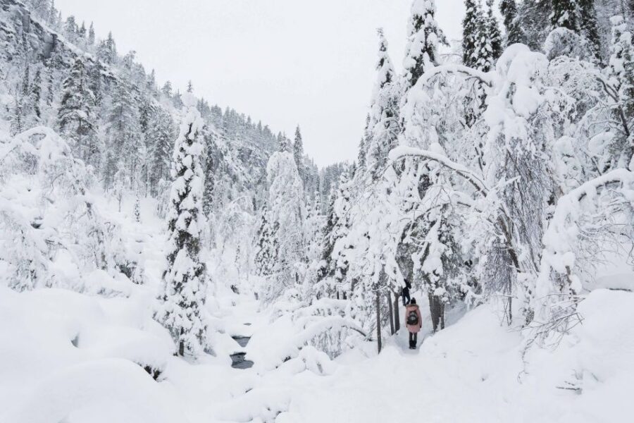 Rovaniemi: Frozen Waterfalls of Korouoma Canyon & Pro Photos - Why Korouoma Canyon’s frozen waterfalls feel so different