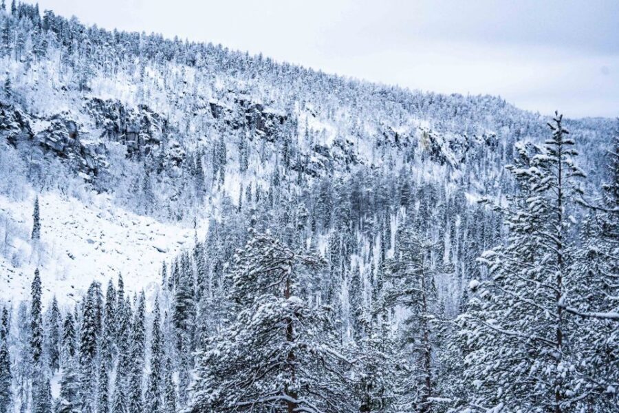 Rovaniemi: Frozen Waterfalls of Korouoma Canyon & Pro Photos - Small group size (up to 8) changes the whole vibe