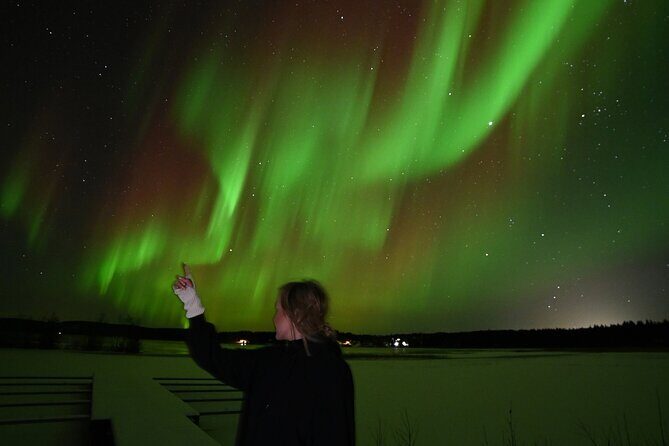 Rovaniemi: Guaranteed Northern Lights - Small Group & Photography - Northern Lights photography: what you should expect from a DSLR guide