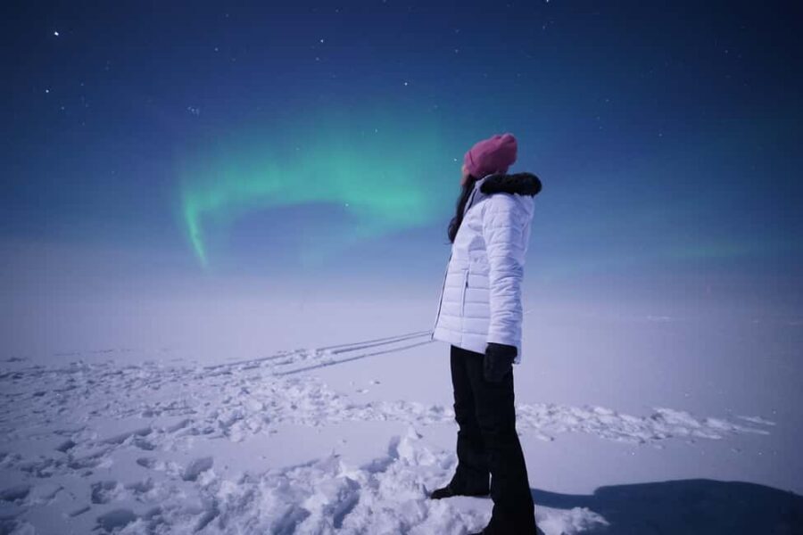 Rovaniemi: Guaranteed Northern Lights Tour with Photos - Price and value: is $180 for an aurora hunt a smart buy?