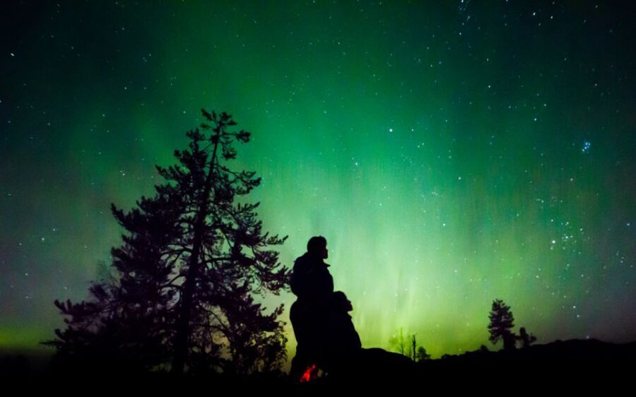 Rovaniemi: Guided Northern Lights Tour - Key things I’d circle before you go