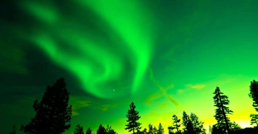 Rovaniemi: Guided Northern Lights Tour - Photographing auroras: your camera often becomes the main storyteller