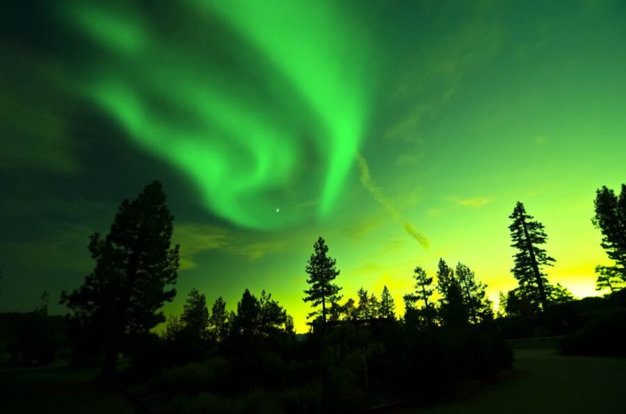 Rovaniemi: Guided Northern Lights Tour - What the Polar Lights education actually adds to your evening