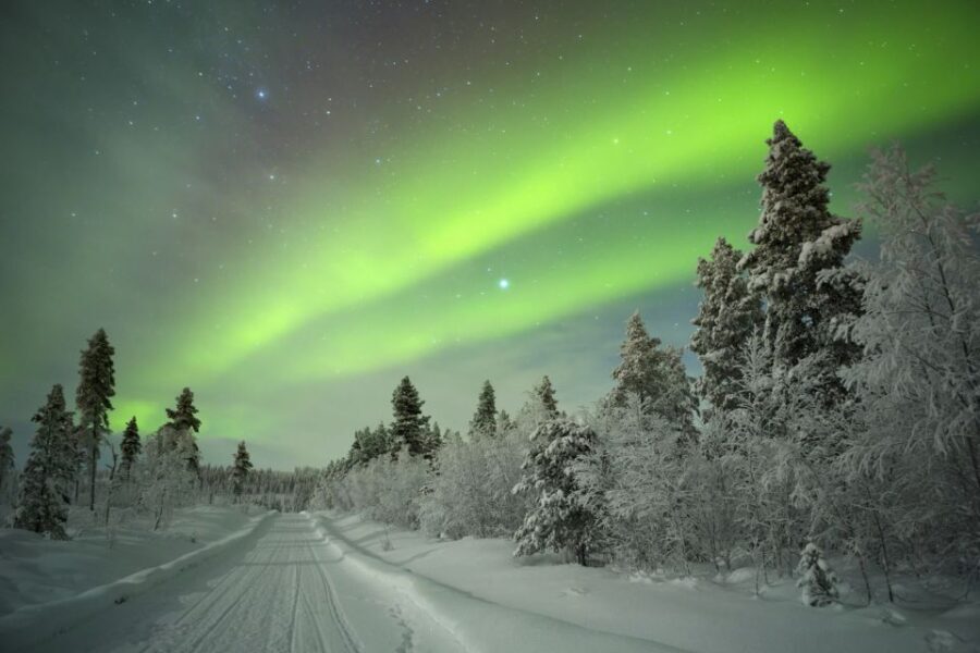 Rovaniemi: Guided Northern Lights Tour - The drive out: why leaving the city matters more than you think