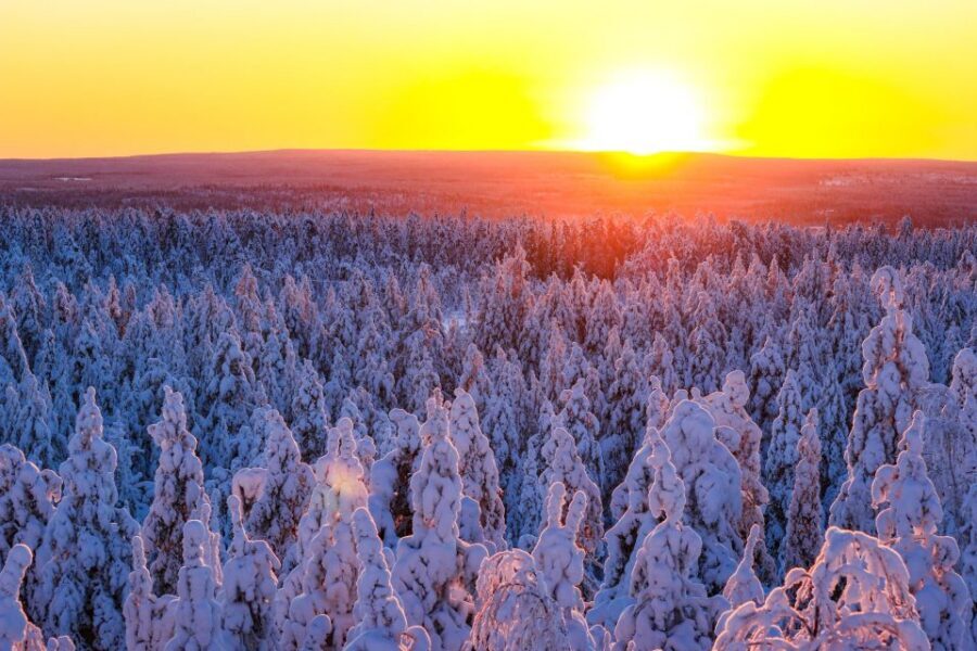 Rovaniemi: Guided Wilderness Snowmobile Ride - Rovaniemi Snowmobiling: What the 2 Hours Really Mean