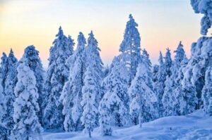 Rovaniemi: Guided Wilderness Snowmobile Ride - Gear Up Right: Thermal Overalls and the Cold-Weather Setup