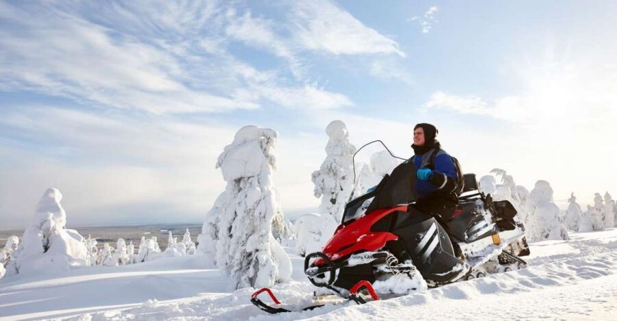 Rovaniemi: Guided Wilderness Snowmobile Ride - On the Snow Trail: What You’ll See and Why It’s Worth It