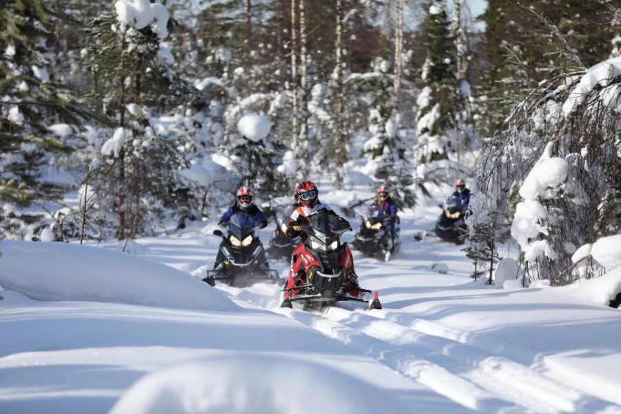 Rovaniemi: Guided Wilderness Snowmobile Ride - Price and Value: Is $121 a Fair Deal?