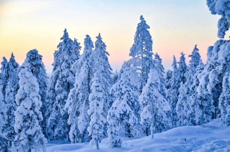 Rovaniemi: Guided Wilderness Snowmobile Ride - Gear Up Right: Thermal Overalls and the Cold-Weather Setup