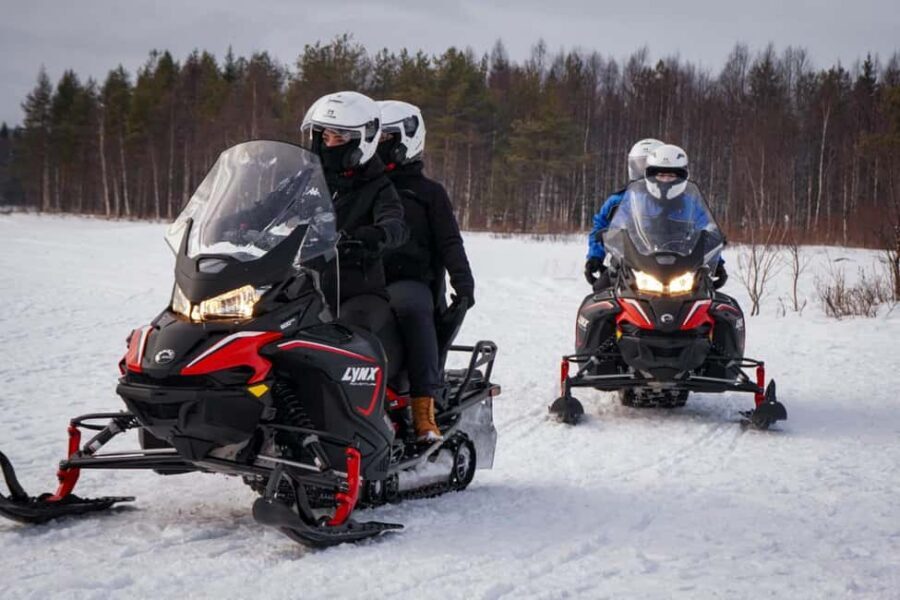 Rovaniemi: Guided Wilderness Snowmobile Safari & Barbeque - The Cozy Break: Fire, Hot Drinks, and BBQ Sausages