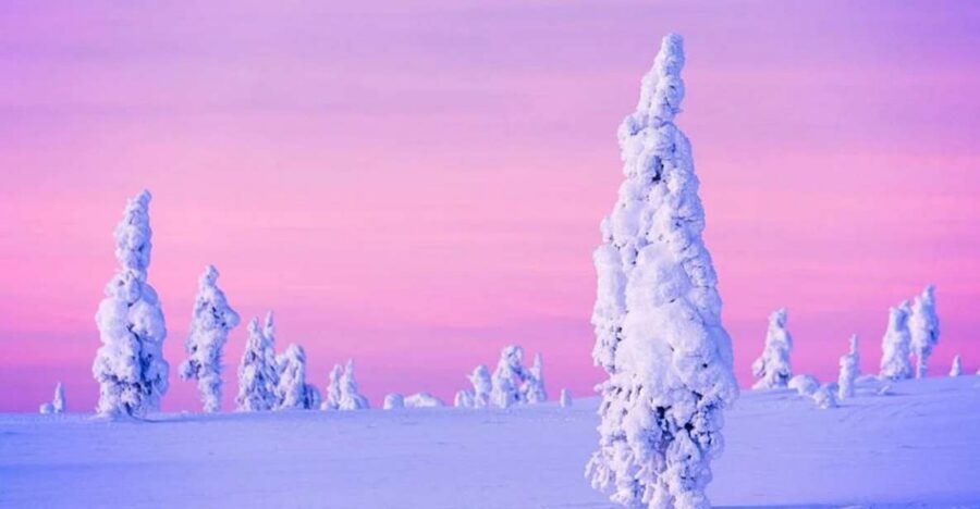 Rovaniemi: Half-Day Snowmobile & Ice Fishing Experience - Who Should Book This (and Who Might Rethink It)