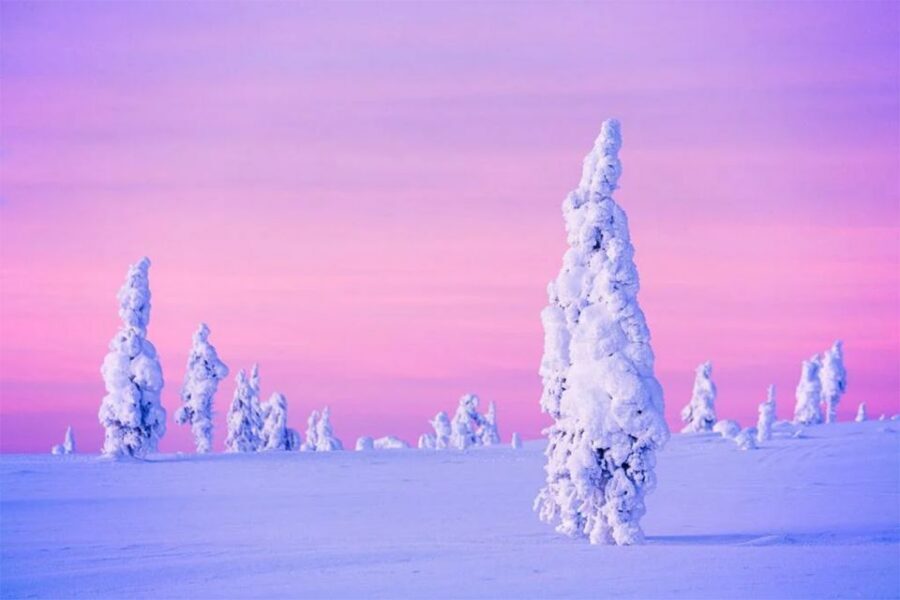 Rovaniemi: Half-Day Snowmobile & Ice Fishing Experience - Should You Book This Rovaniemi Snowmobile & Ice Fishing Tour?