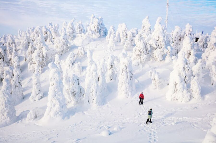 Rovaniemi: Hiking and Snowshoeing Adventure in Lapland - Key takeaways before you go