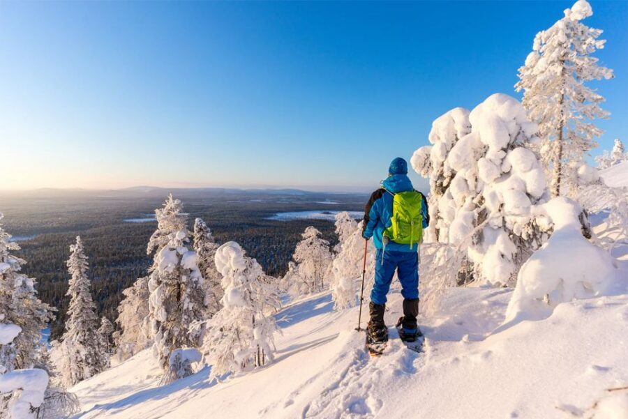 Rovaniemi: Hiking and Snowshoeing Adventure in Lapland - Rovaniemi in winter: what makes the Arctic Circle hike special