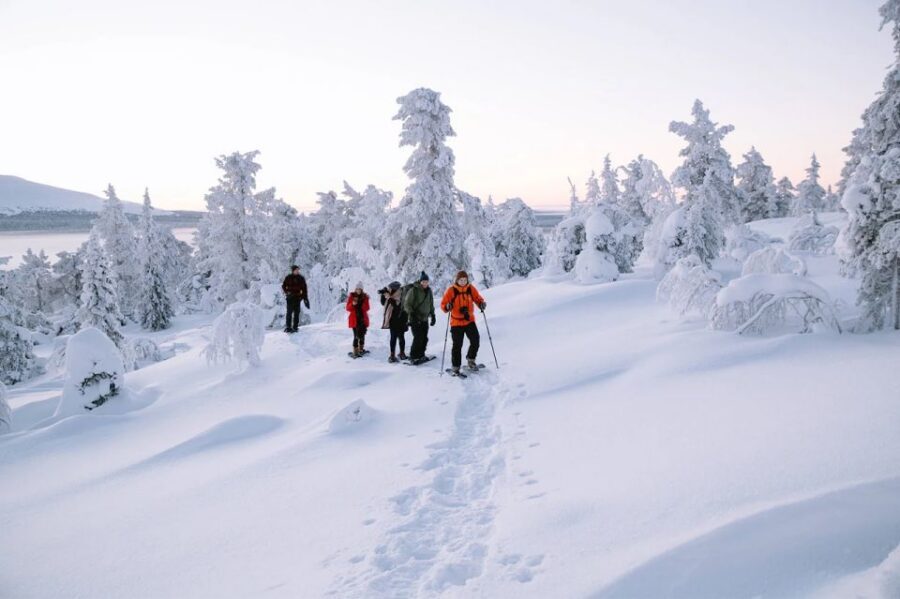 Rovaniemi: Hiking and Snowshoeing Adventure in Lapland - Gear-up time: from first strap to first tracks