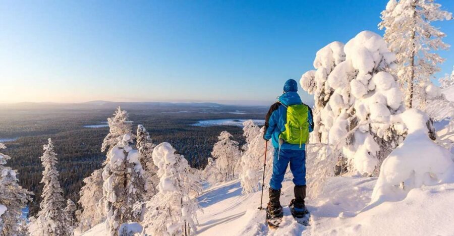 Rovaniemi: Hiking and Snowshoeing Adventure in Lapland - The warming break: hot blueberry juice and gingerbread