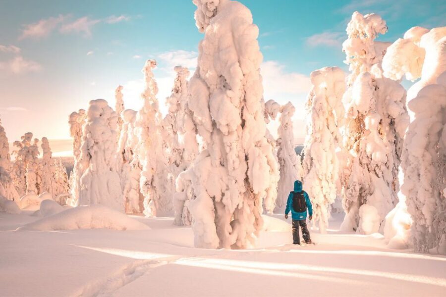 Rovaniemi: Hiking and Snowshoeing Adventure in Lapland - Price and value: is $104 per person fair for 3 hours?