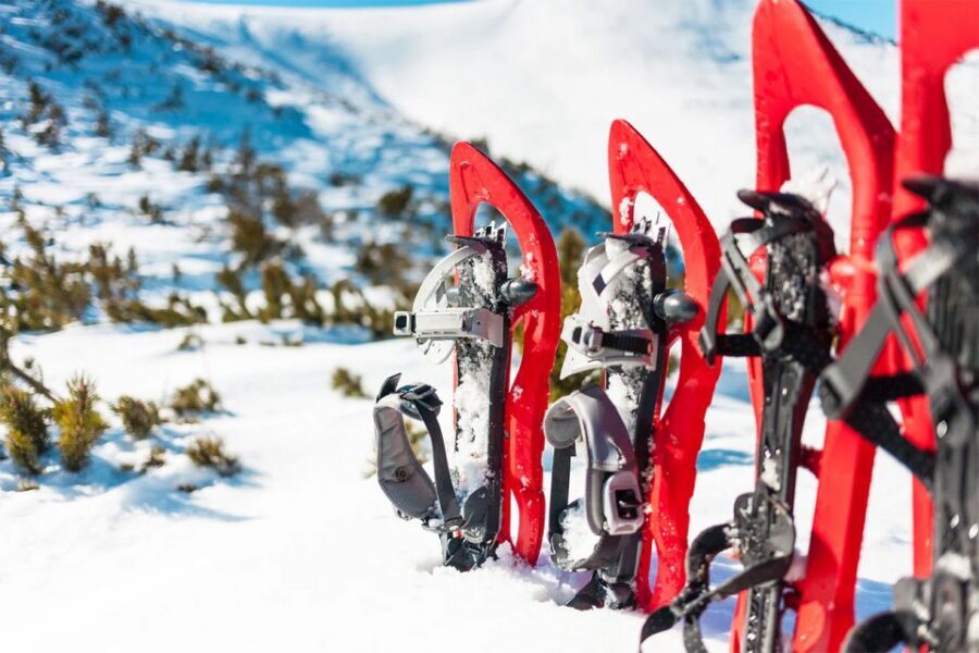 Rovaniemi: Hiking and Snowshoeing Adventure in Lapland - What’s included, and why it matters more than you think